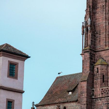 Le Joyau Alsacien - Centre Historique Apartment Selestat Luaran gambar
