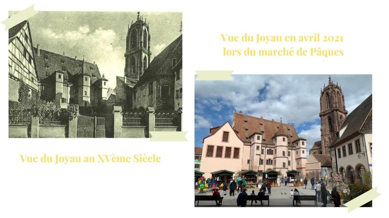Le Joyau Alsacien - Centre Historique Apartment Selestat Luaran gambar