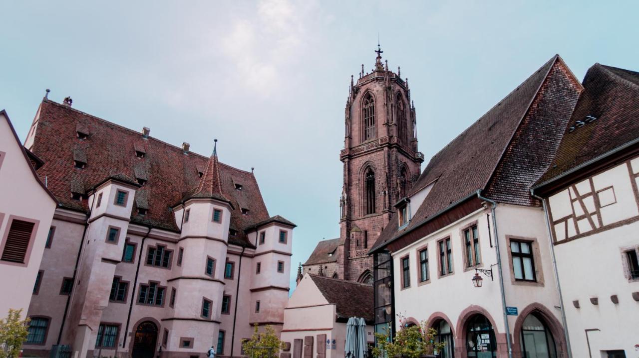 Le Joyau Alsacien - Centre Historique Apartment Selestat Luaran gambar
