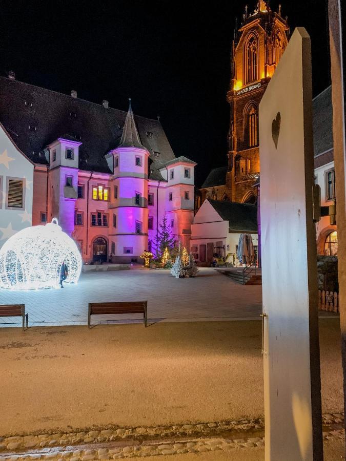 Le Joyau Alsacien - Centre Historique Apartment Selestat Luaran gambar